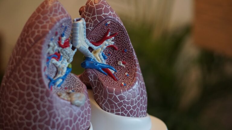 تفضيلات التوظيف لفحص سرطان الرئة: دراسة من مشروع 4-IN-THE-LUNG-RUN