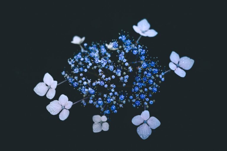 دراسة: هل يعزز عقار THC فعالية علاج التعرض المطول للاكتئاب اللاحق للصدمات؟