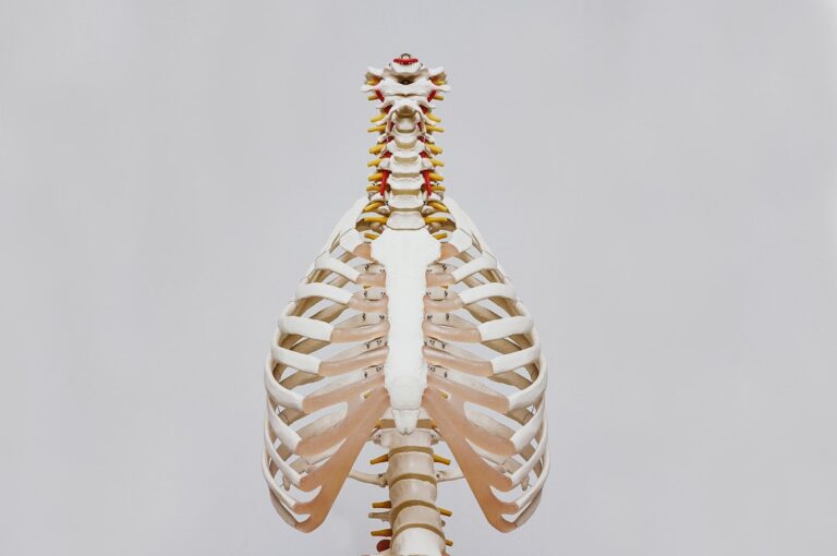 الذكاء الاصطناعي يعزز تشخيص كسور الأضلاع لدى طلاب الطب الواعدين